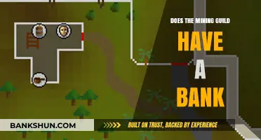 Mining Guild Bank: Exploring Storage Options for Miners' Treasures