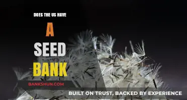 Does the US Have a Seed Bank? Exploring America's Seed Preservation Efforts