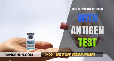 Vaccine Impact on Antigen Tests: Debunking Myths and Understanding Accuracy
