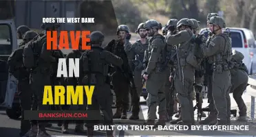 Does the West Bank Have an Army? Exploring Palestinian Security Forces