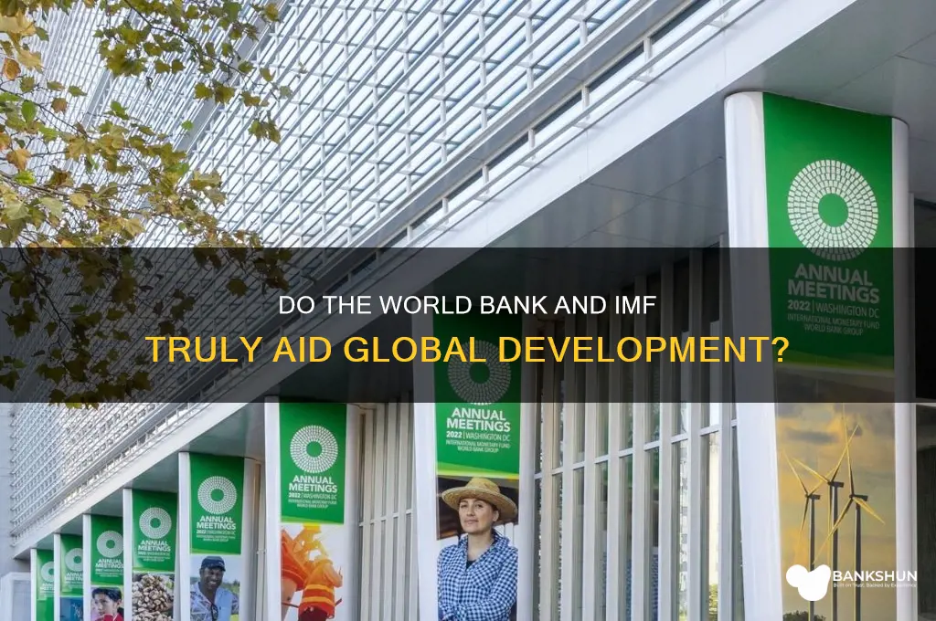 does the world bank and imf help