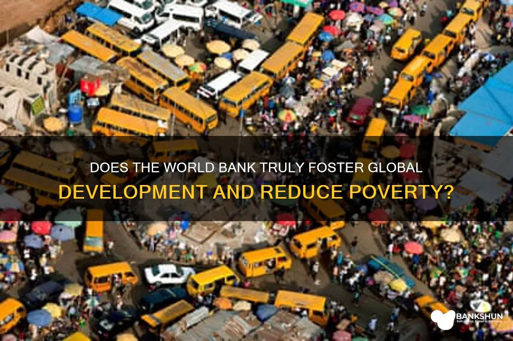 does the world bank do any good