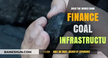 World Bank's Role in Coal Infrastructure Financing: Facts and Debates