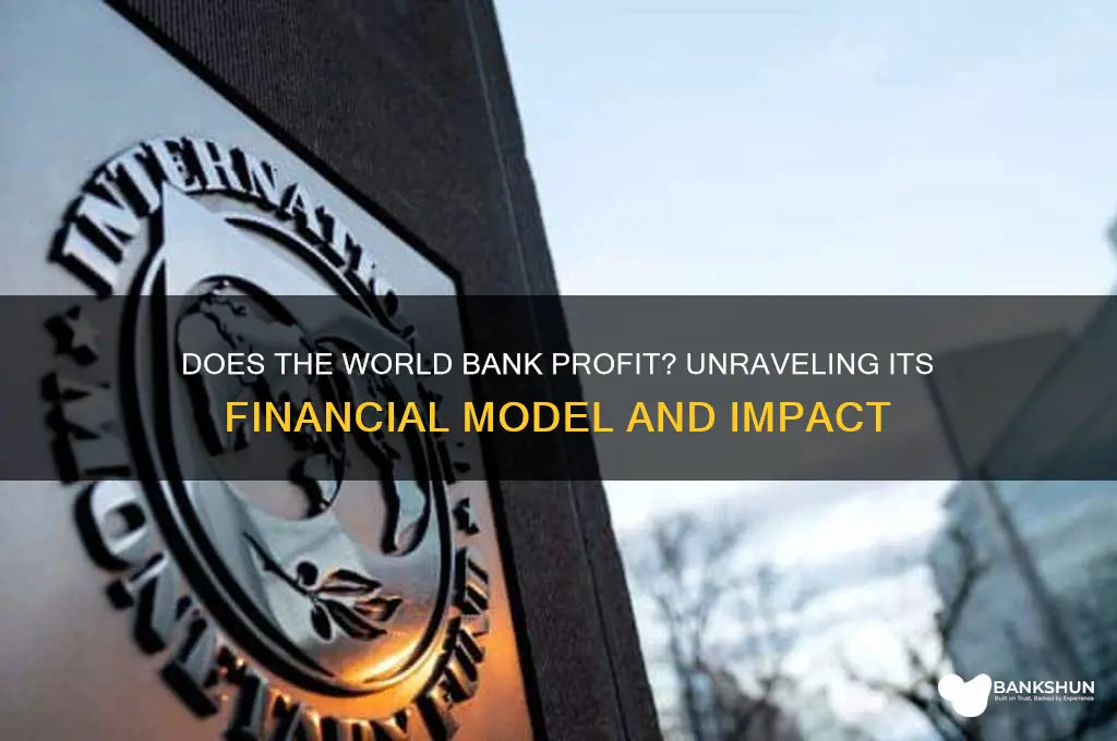does the world bank make a profit