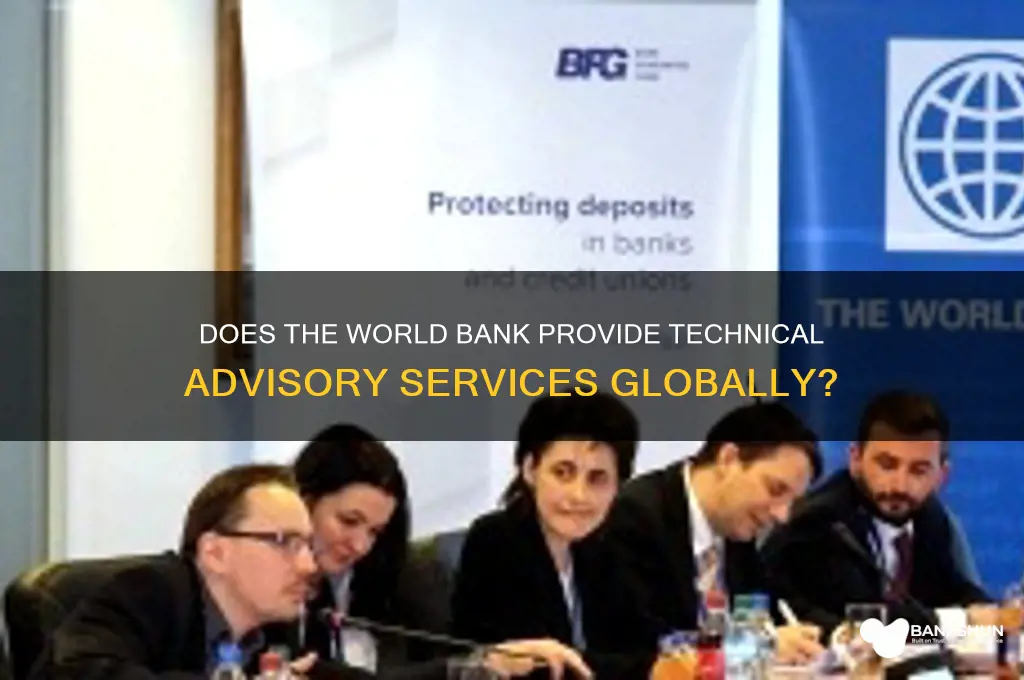 does the world bank offer technical advice