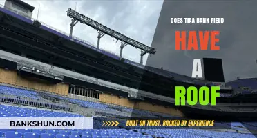Does TIAA Bank Field Have a Roof? Exploring the Stadium's Design