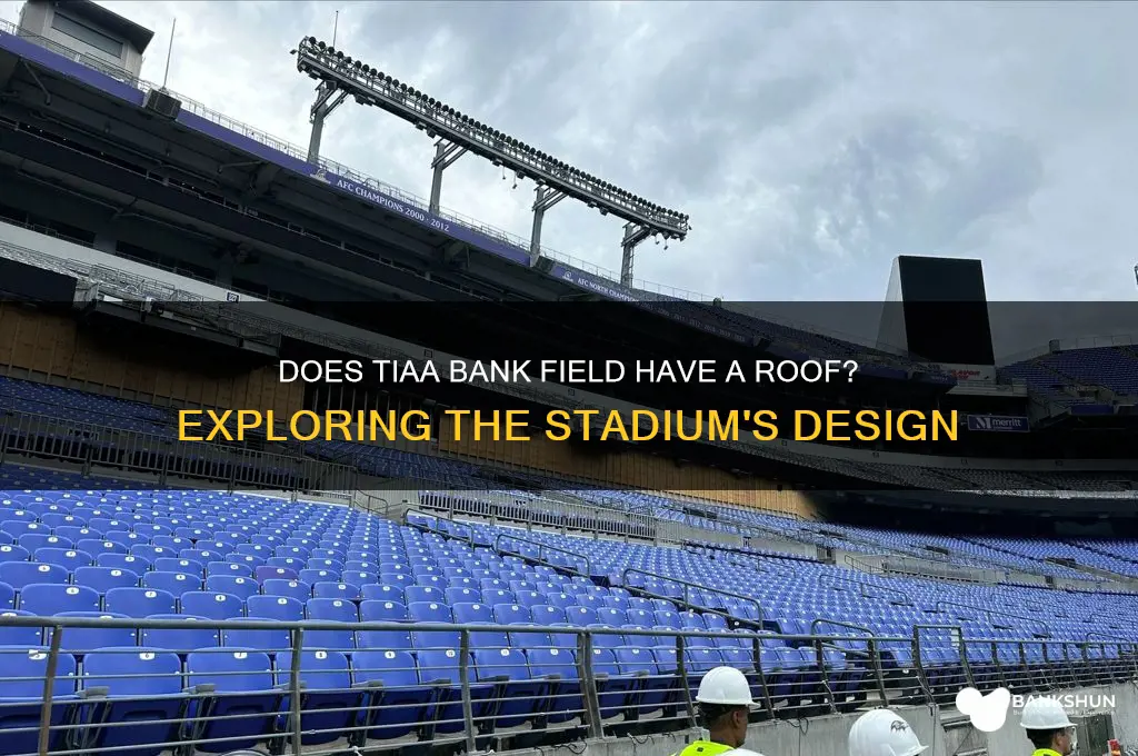 does tiaa bank field have a roof