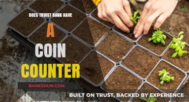 Does Truist Bank Offer Coin Counting Services? Find Out Here