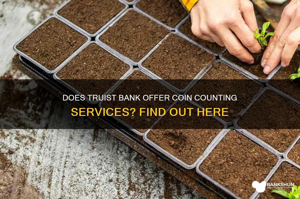 does truist bank have a coin counter