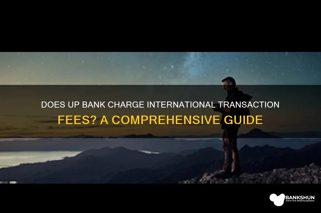 does up bank have international transaction fees