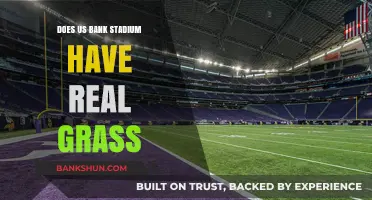 Is U.S. Bank Stadium's Field Real Grass or Artificial Turf?