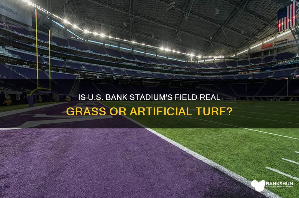 does us bank stadium have real grass