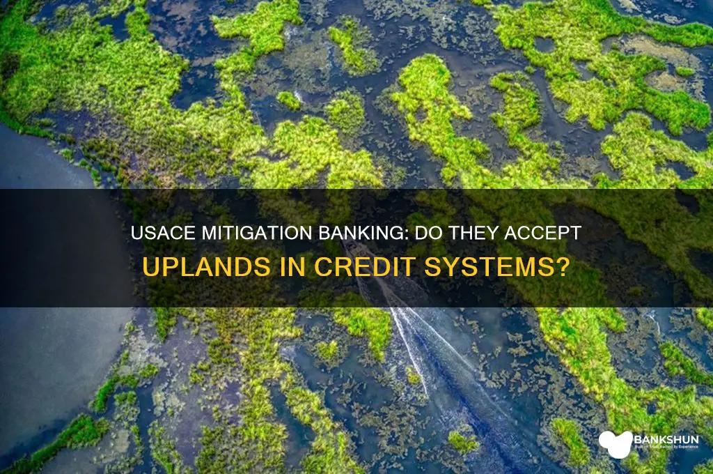 does usace accept uplands in mitigation bank