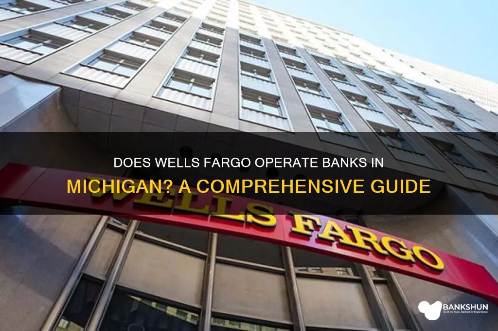 does well fargo have banks in mi