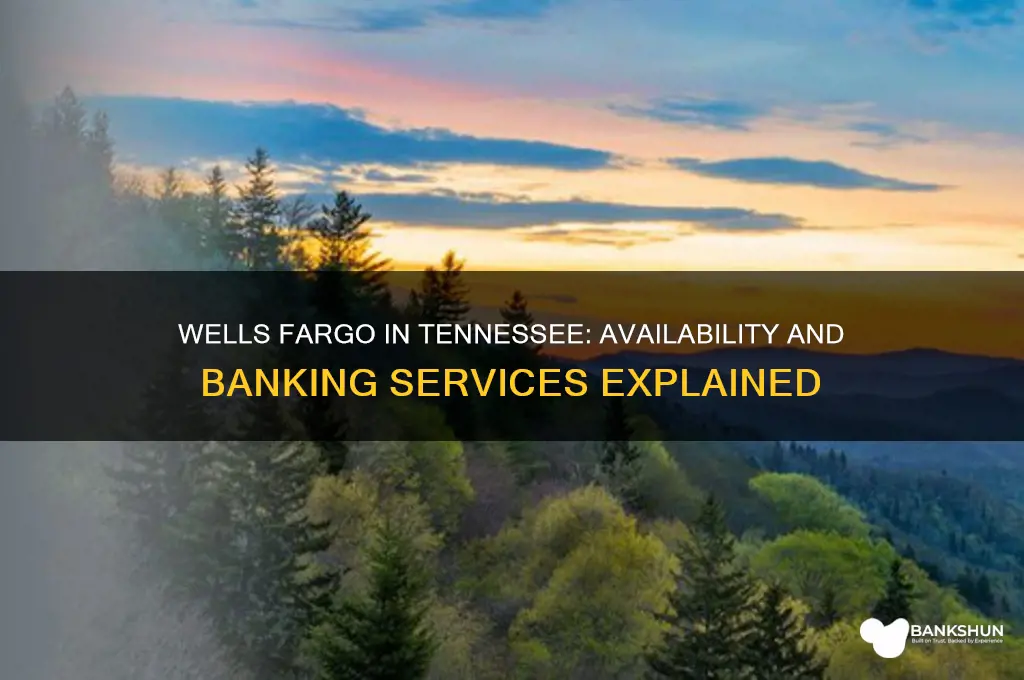 does wells fargo bank operate in tennessee