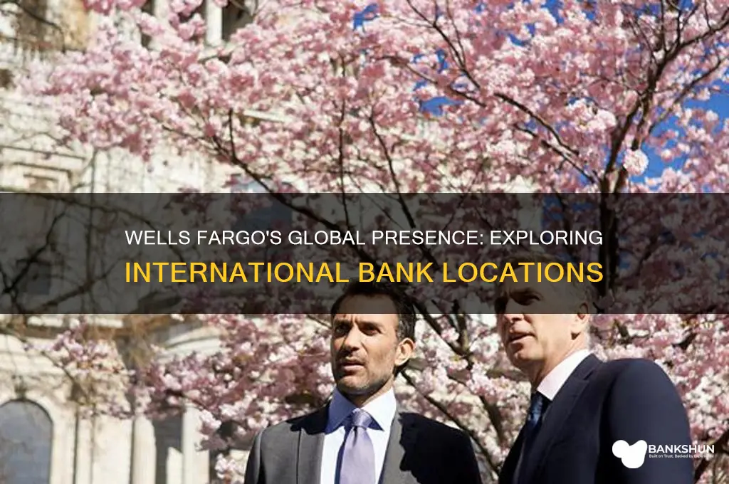 does wells fargo have international bank locations