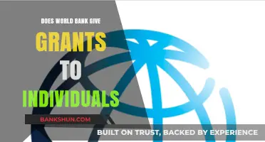 Does the World Bank Offer Grants to Individuals? Facts Revealed