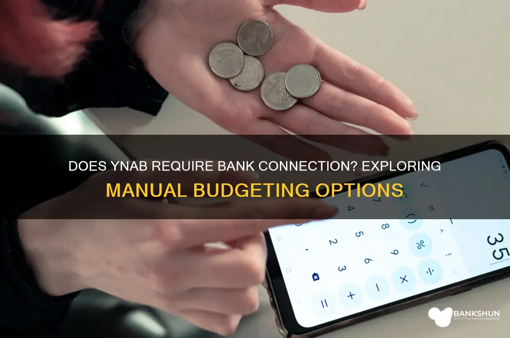 does ynab have to connect to bank
