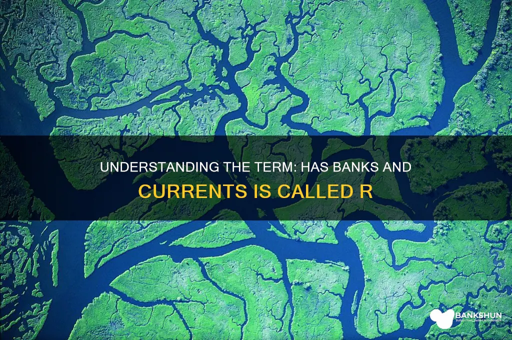 has banks and currents is called r
