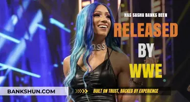 Sasha Banks WWE Release: Fact or Fiction? Latest Updates