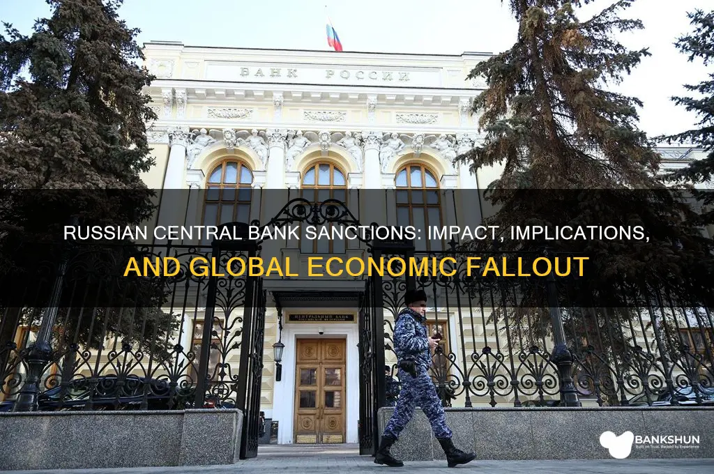 has the russian central bank been sanctioned