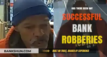Successful Bank Heists: Uncovering the Truth Behind Daring Robberies