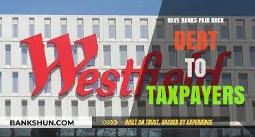 Have Banks Repaid Their Debt to Taxpayers? A Financial Analysis