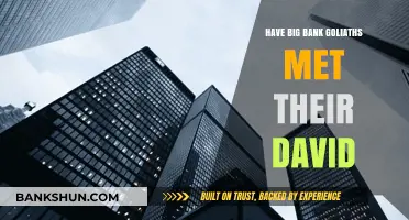 Big Bank Goliaths vs. Fintech Davids: Has the Battle Begun?