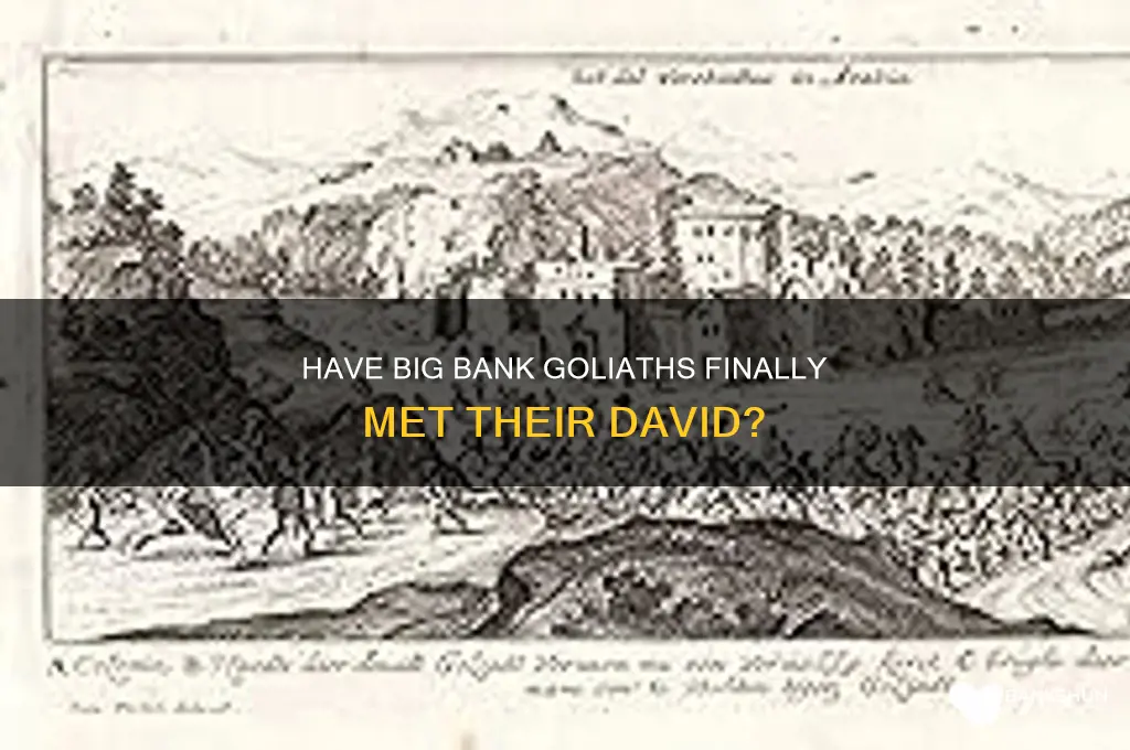 have big bank golitihs met their david