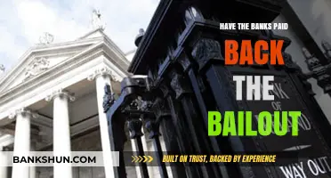 Have Banks Fully Repaid the Bailout? A Comprehensive Analysis