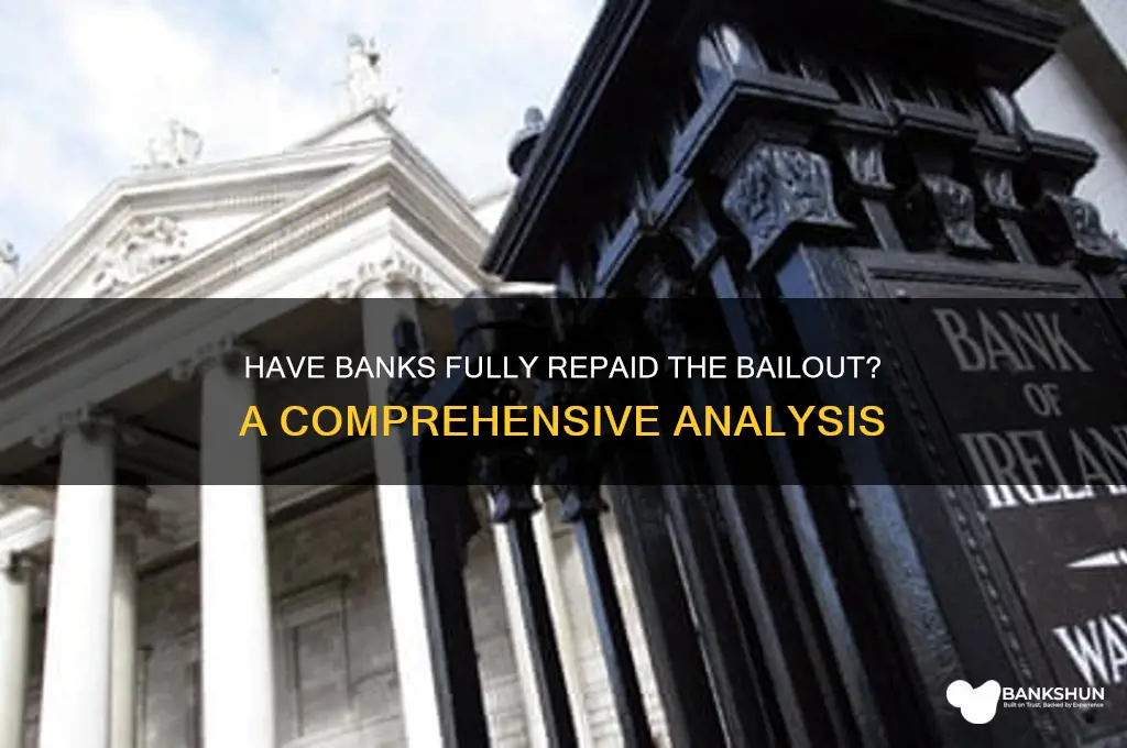 have the banks paid back the bailout