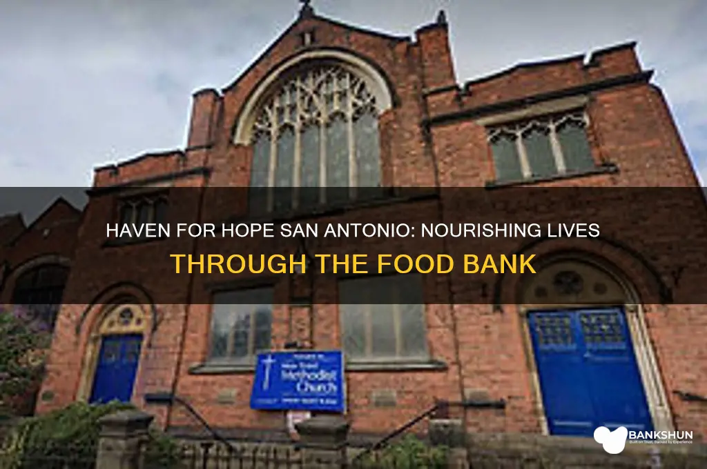 haven for hope san antonio food bank