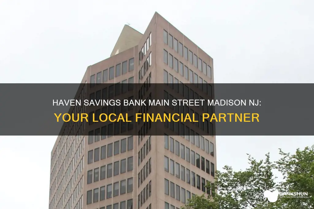 haven savings bank main street madison nj