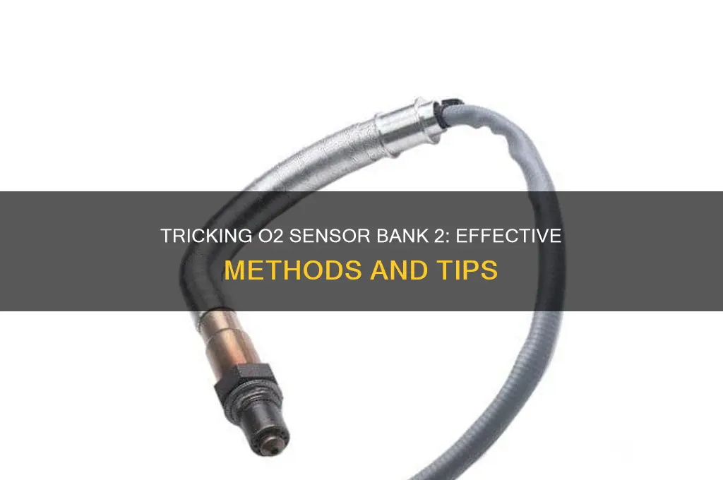 how 2 trick o2 sensor bank 2