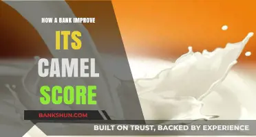 Enhancing Bank Performance: Strategies to Boost Your CAMEL Rating