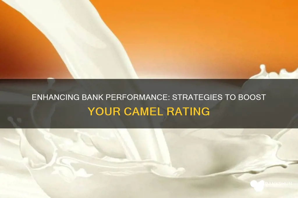 how a bank improve its camel score