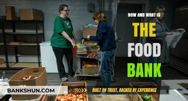 Understanding Food Banks: How They Work and What They Provide