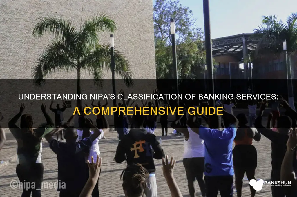 how are banking services classified in nipa