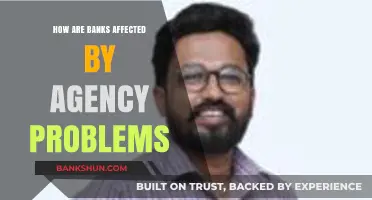 Agency Problems in Banking: Impacts, Challenges, and Mitigation Strategies
