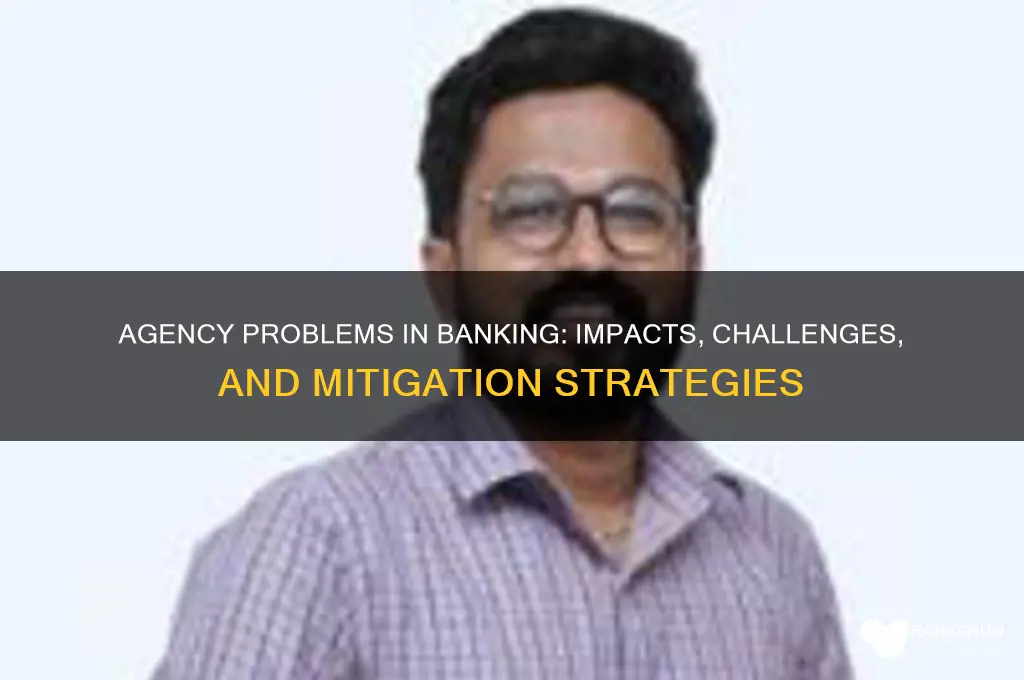how are banks affected by agency problems