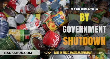 Government Shutdown Impact: How Banks Navigate Financial Uncertainty