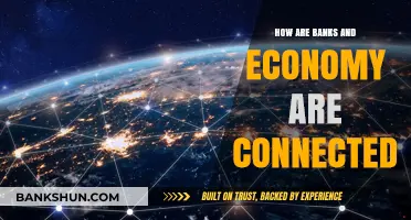 Banks and Economy: The Interconnected Relationship Driving Financial Stability