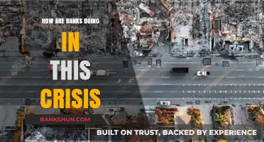 Banking Resilience: Navigating Financial Stability Amidst the Global Crisis