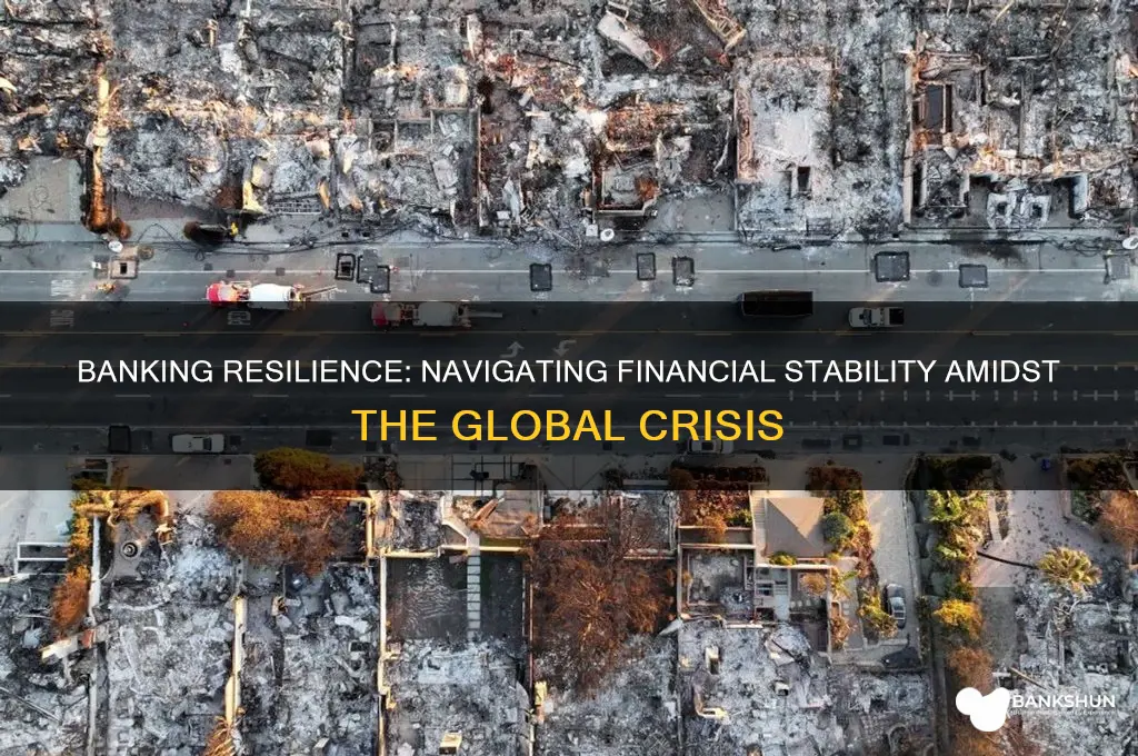 how are banks doing in this crisis
