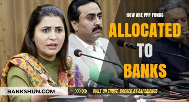 Understanding PPP Fund Allocation: How Banks Receive and Distribute Funds