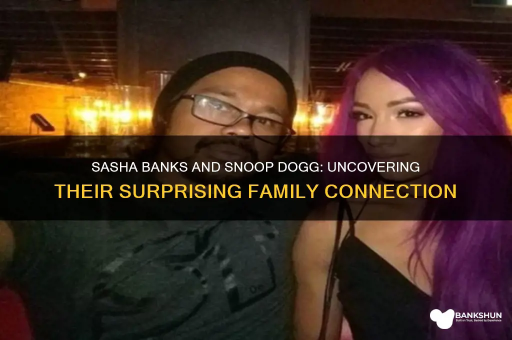 how are sasha banks and snoop related