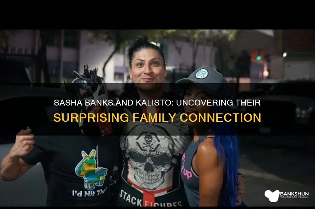 how arw sasha banks and kalisto related