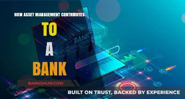 Maximizing Bank Efficiency: The Role of Asset Management Strategies