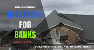 Weather Disasters and Banks: Assessing Financial Risks and Vulnerabilities