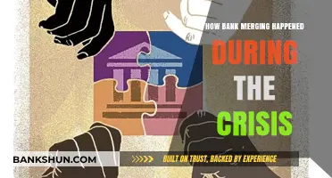 Crisis-Driven Bank Mergers: Strategies, Challenges, and Financial Resilience